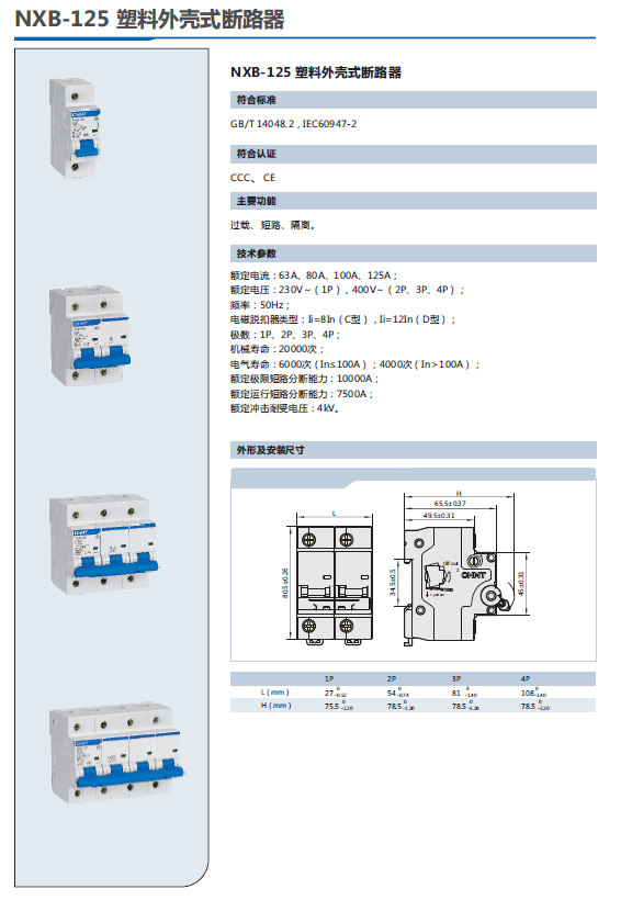 NXB-125小型斷路器選型手冊(cè)